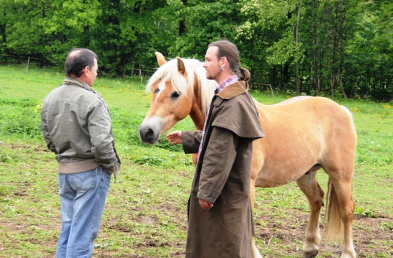 V kraji se půjde ještě dvakrát na krásné koně