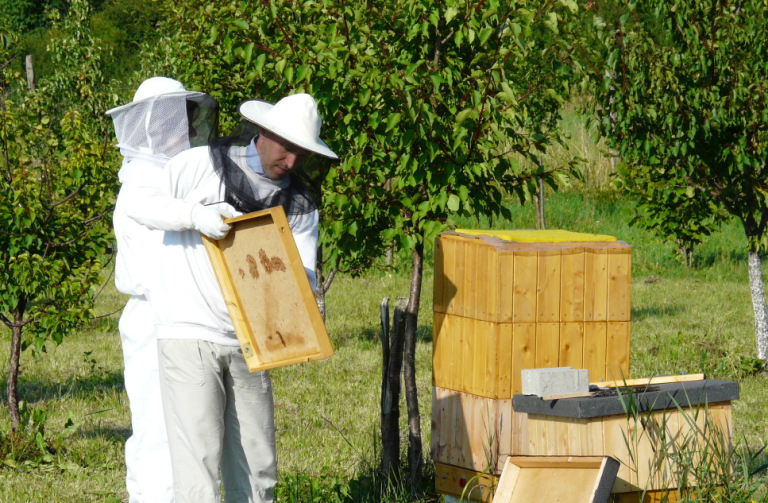 Liberecký kraj vyhlašuje výzvu - Grant na podporu včelařství  