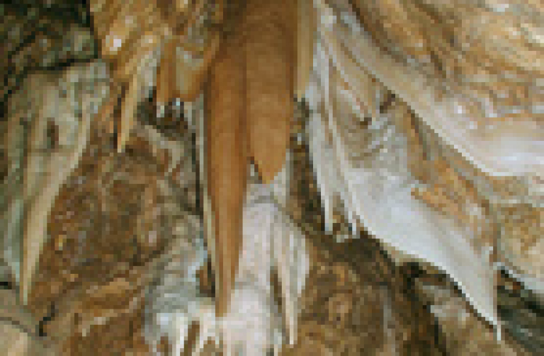 Bozkovské jeskyně