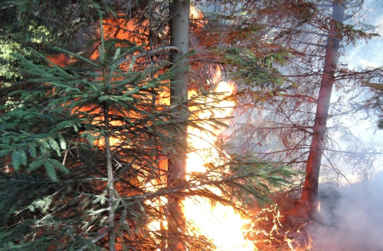 Liberecký kraj vyhlašuje stav zvýšeného nebezpečí vzniku požárů 