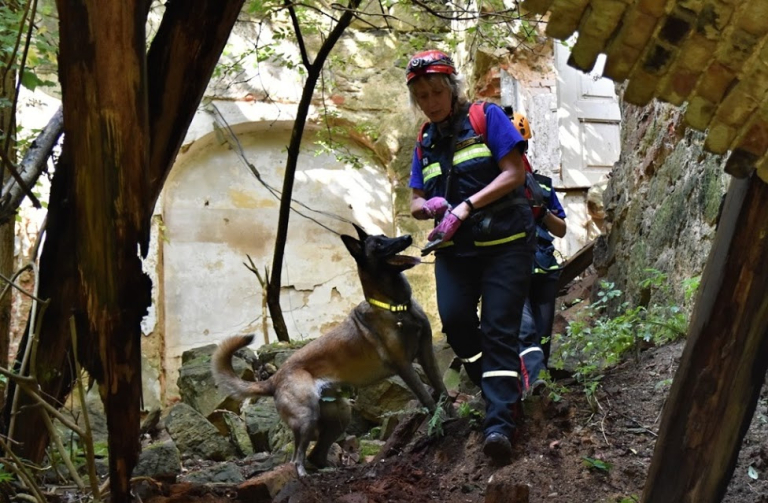 V Jablonném zachraňovali psi z celé České republiky