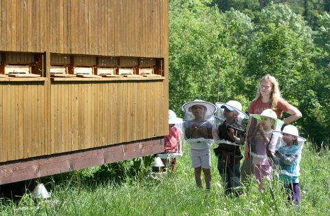 ilustracni_foto