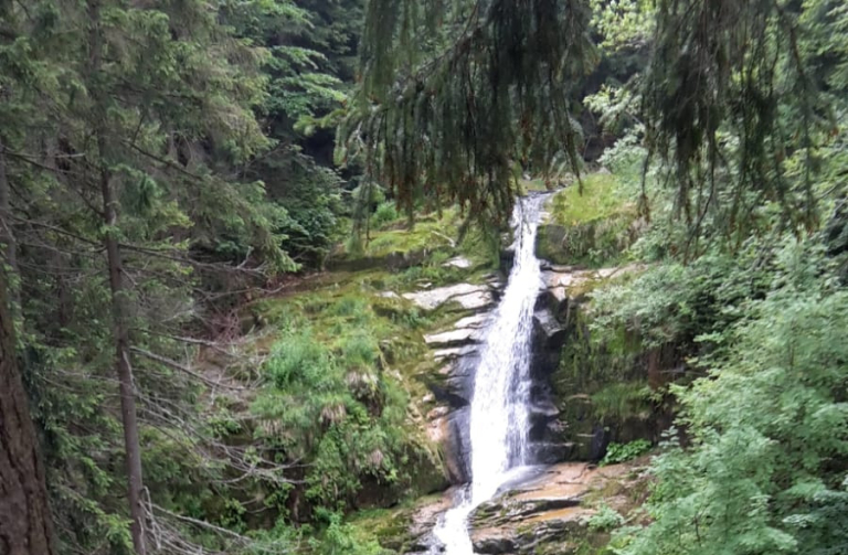 IMG-20180626-WA0010