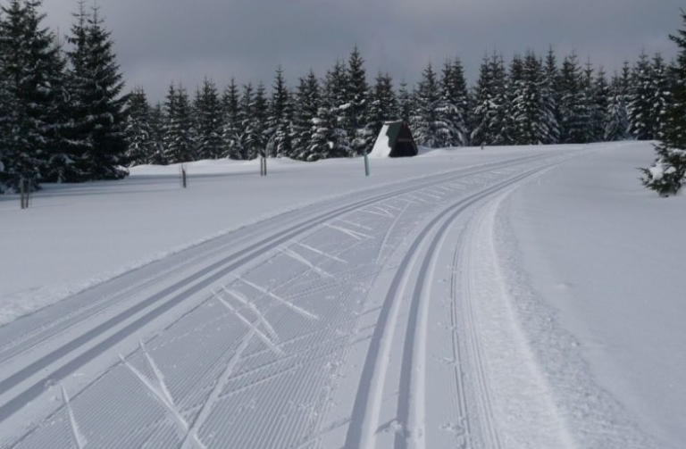 lýže
