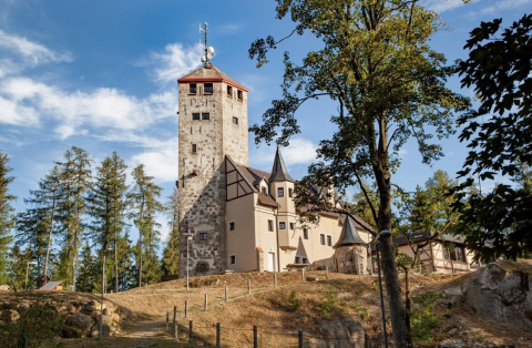 Vysina