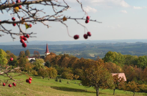 Podještědí