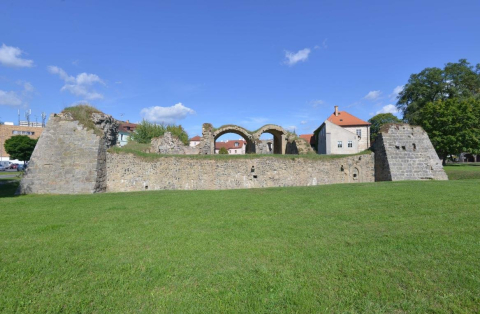 Lipý