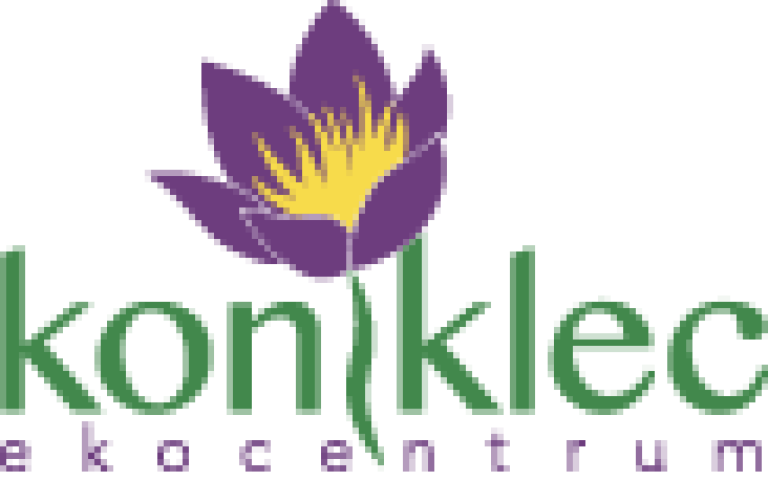 koniklec