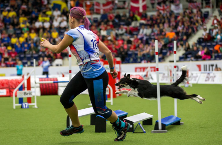 agility-world-championship