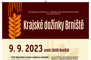 Výtvarník a řezbář Václav Plechatý vystavuje na kraji se svými kamarády