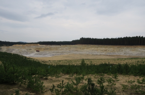 Srní Okřešice