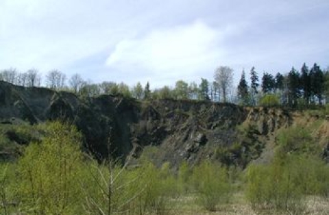 Polevsko