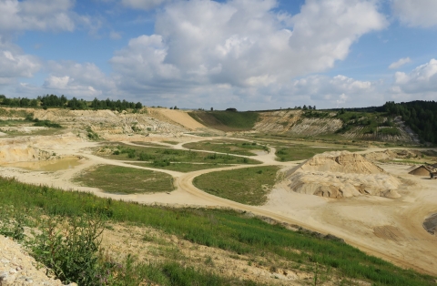 Oldřichov