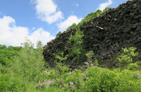 Heřmanice