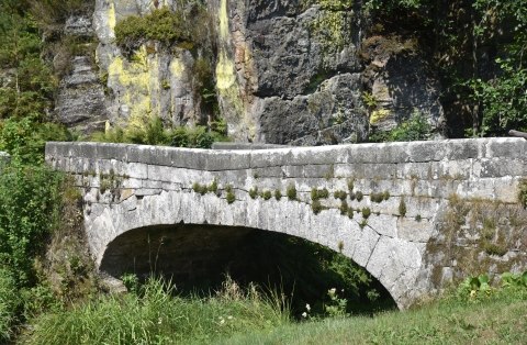 DSC 1366