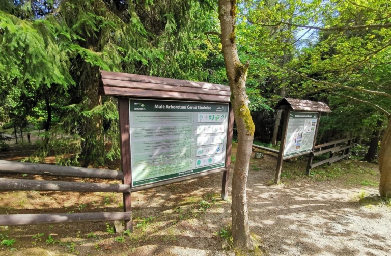 Arboretum