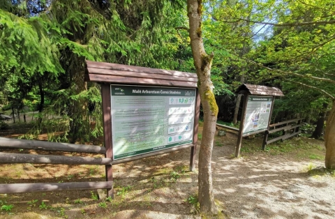 Arboretum