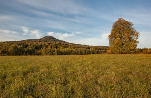 Sokol
