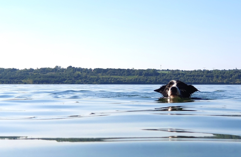 Jezero
