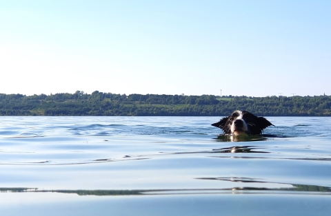 Jezero