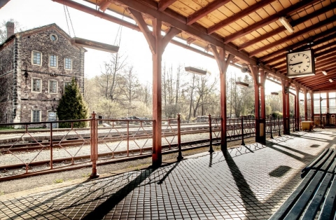 Hodkovice