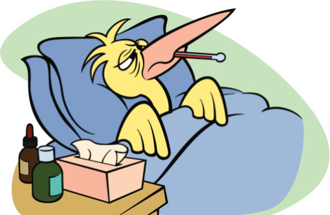 istockphoto-112276672-170667a