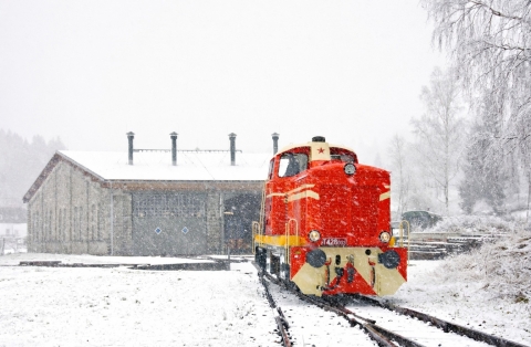 605869042 1342595711233386 1090630090790411553 n