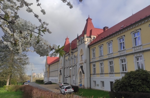 dm zeyerova